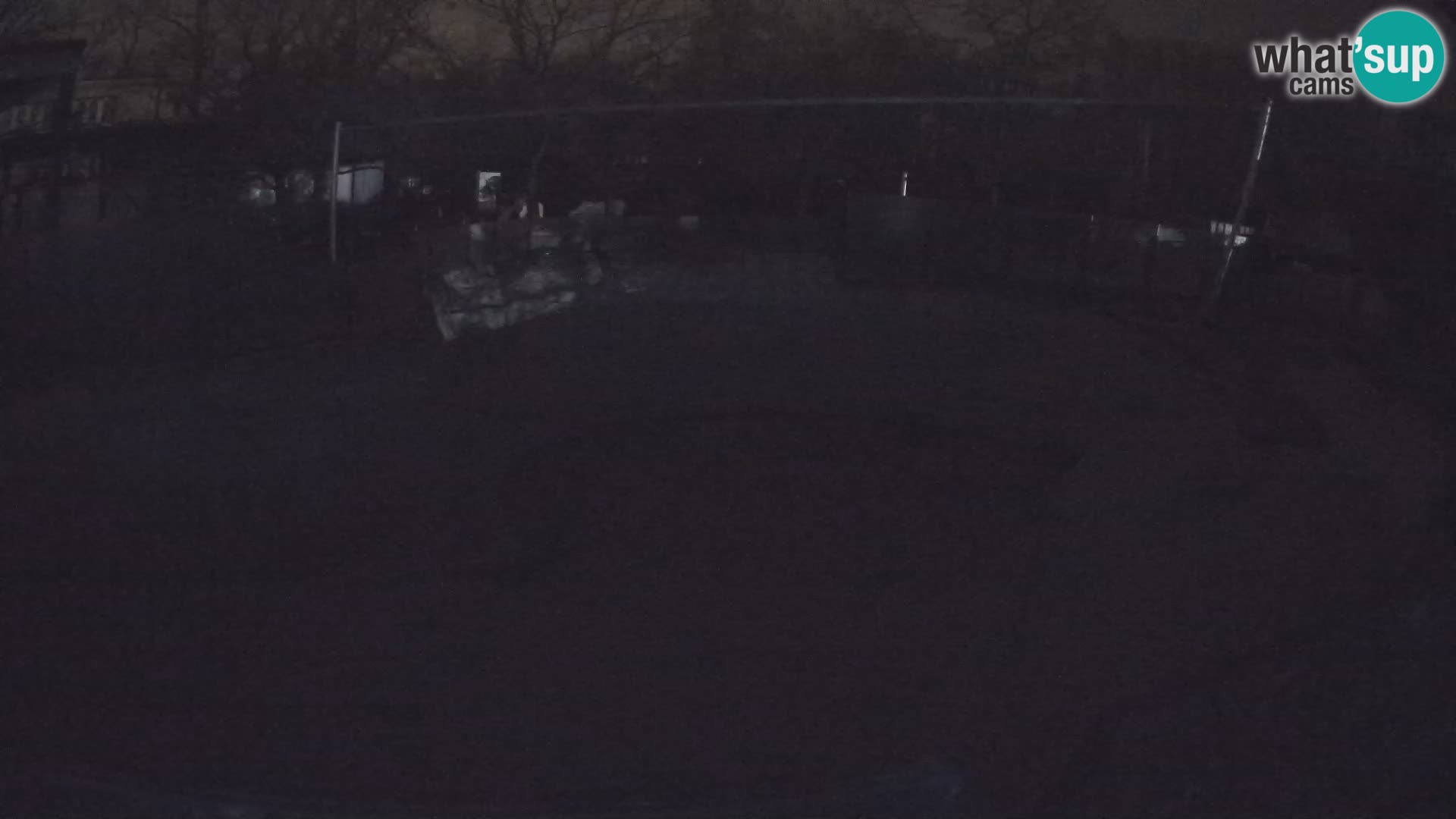 Zoo Zagreb – Kalifornijski morski lav