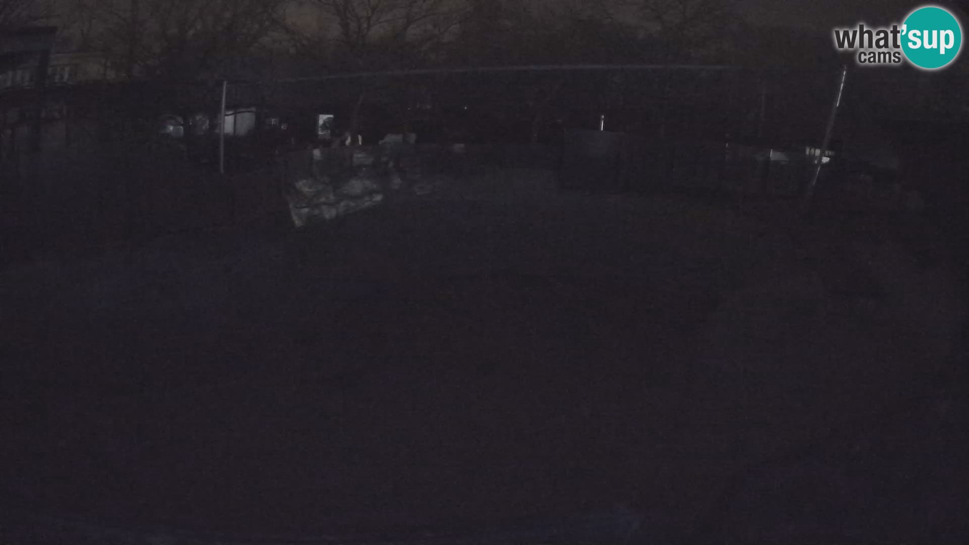 Zoo Zagreb – Otarie de Californie