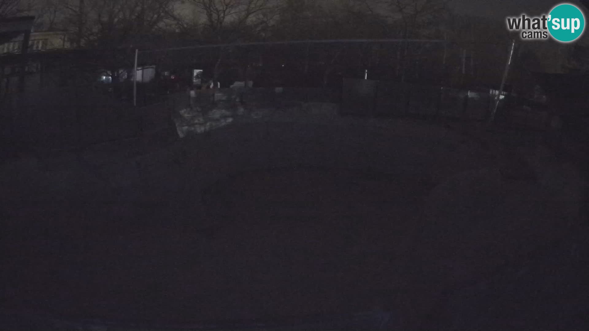 Zoo Zagreb – Kalifornijski morski lav