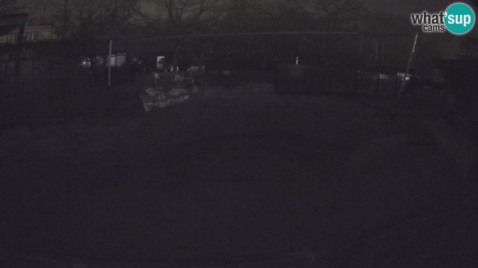 Zoo Zagreb – Kalifornijski morski lev