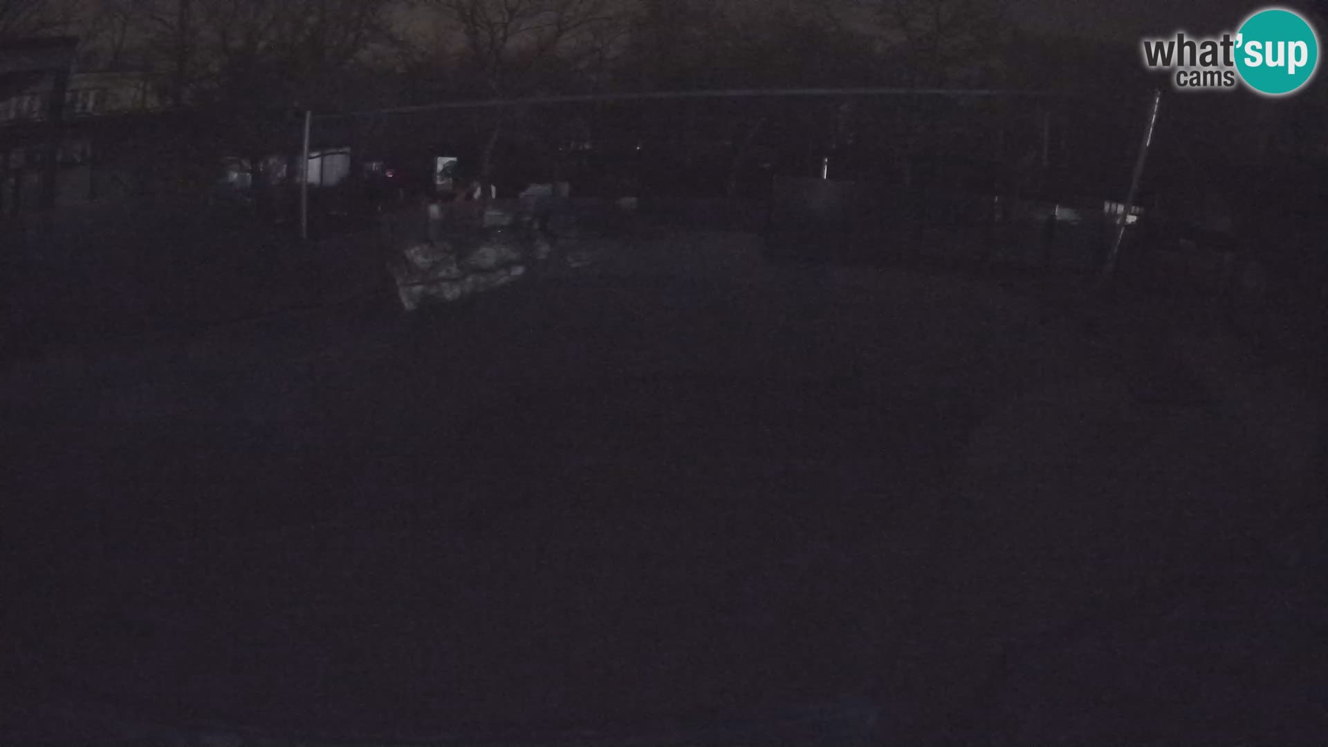 Zoo Zagreb –  León marino de California