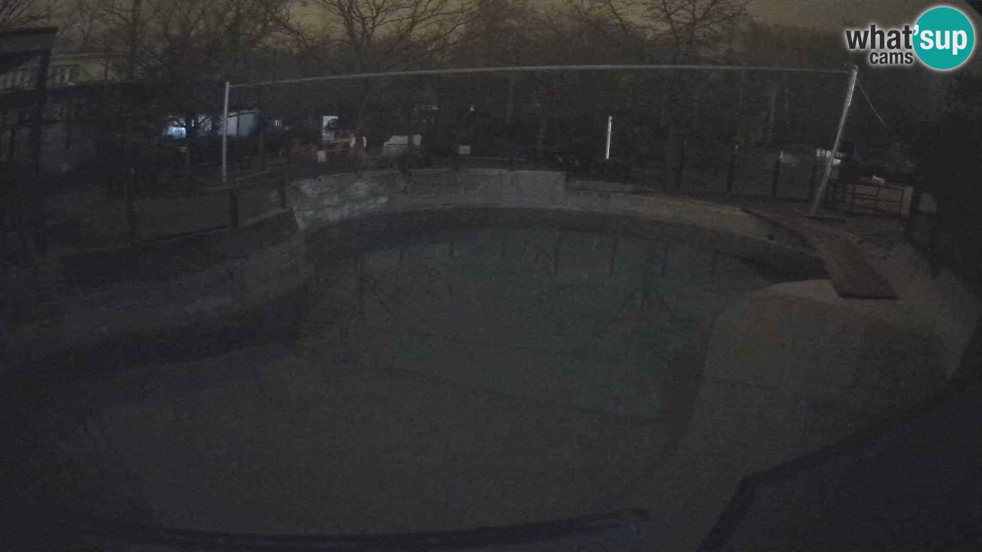 Zoo Zagreb – Kalifornijski morski lav