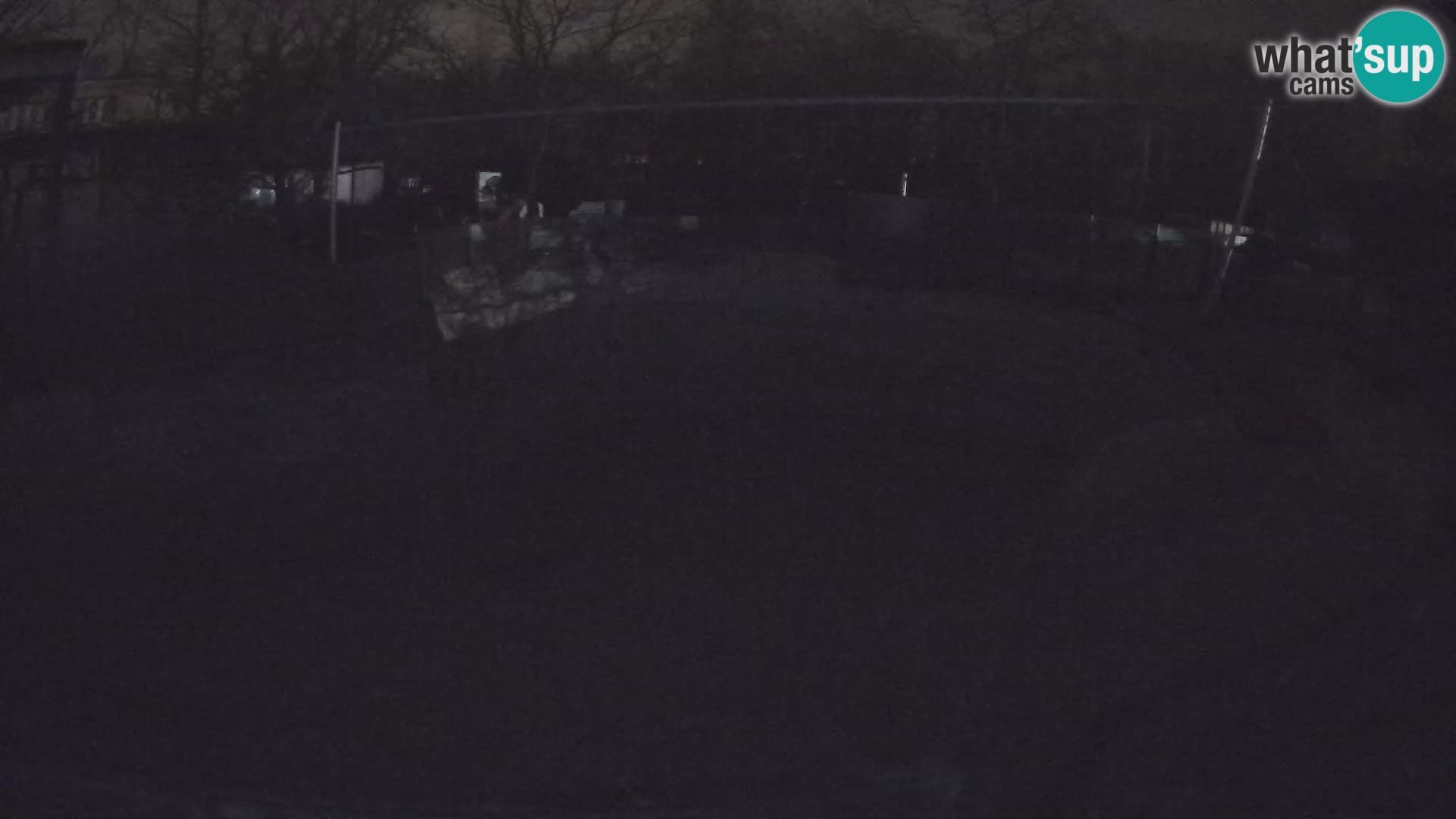 Zoo Zagreb – Otarie de Californie