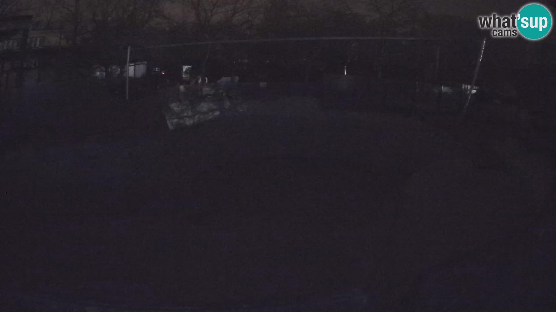 Zoo Zagreb – Kalifornijski morski lav