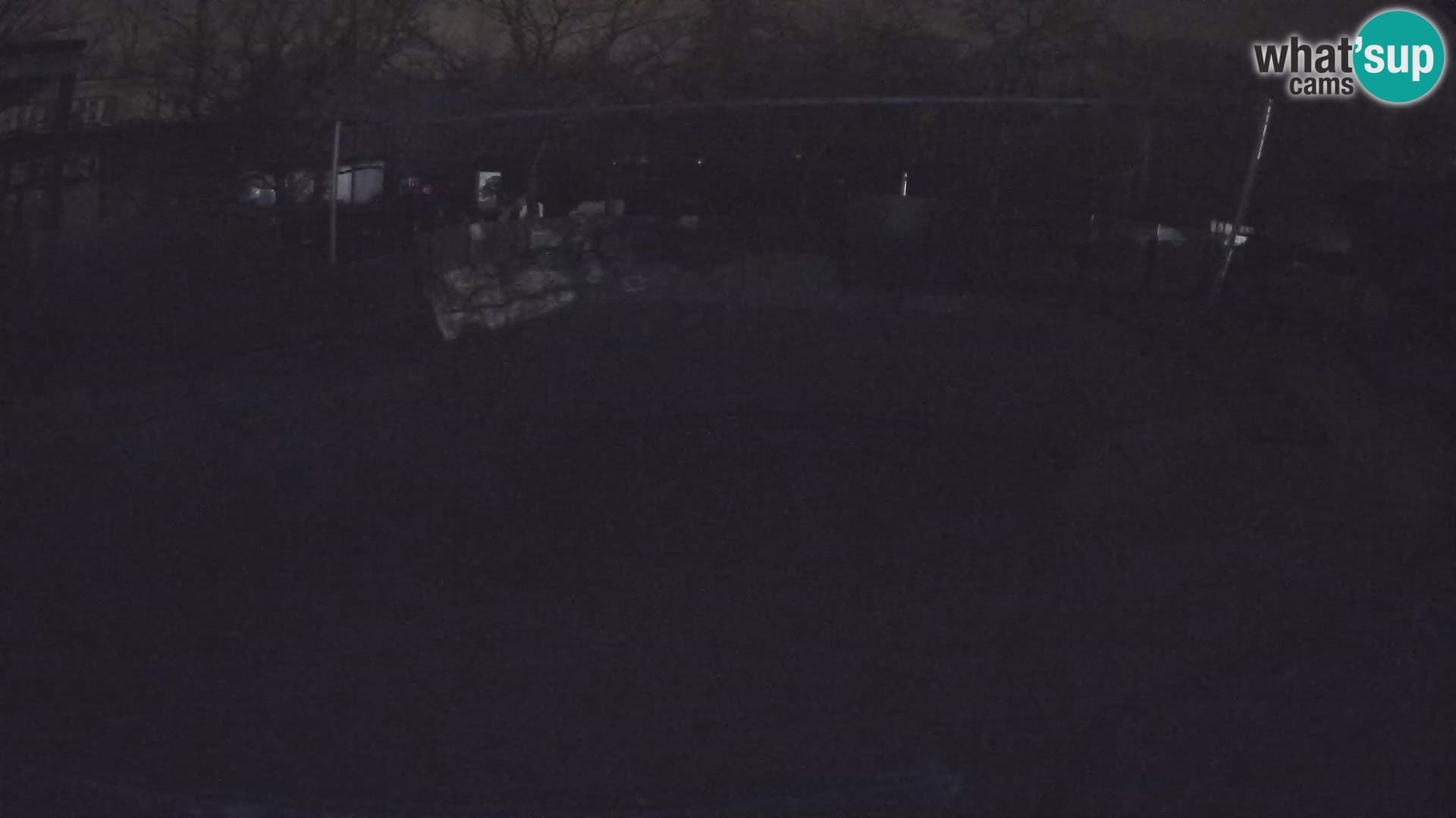 Zoo Zagreb –  León marino de California