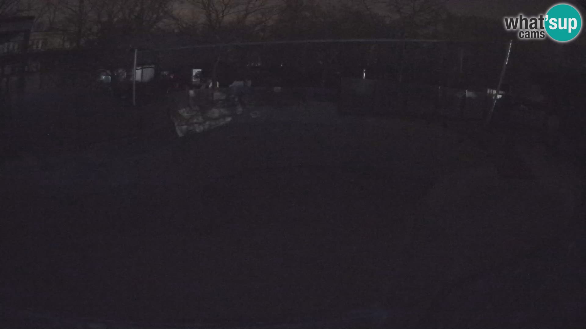 Zoo Zagreb – Kalifornijski morski lav