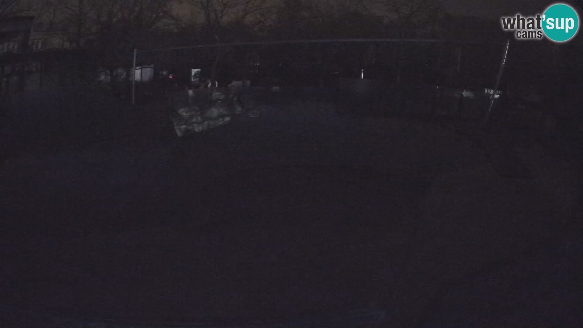 Zoo Zagreb –  León marino de California