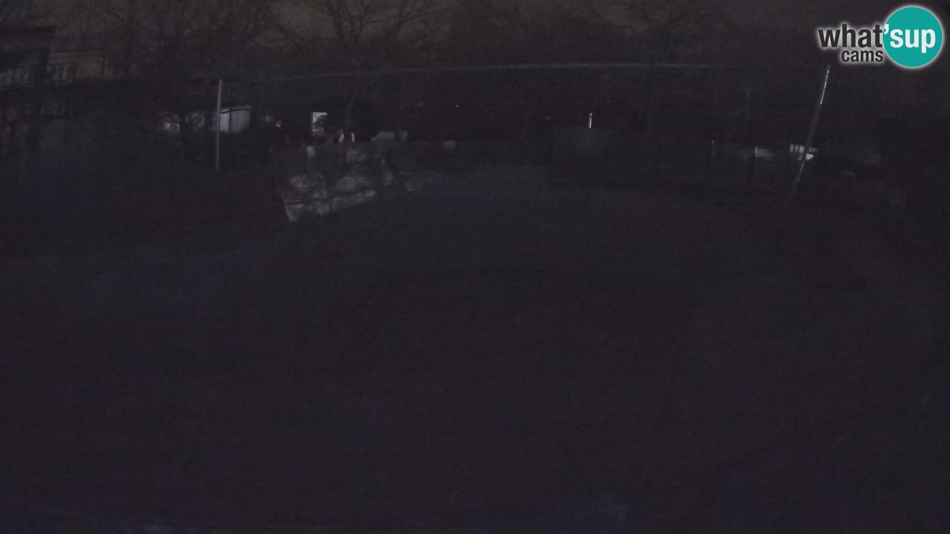 Zoo Zagreb – Kalifornijski morski lav