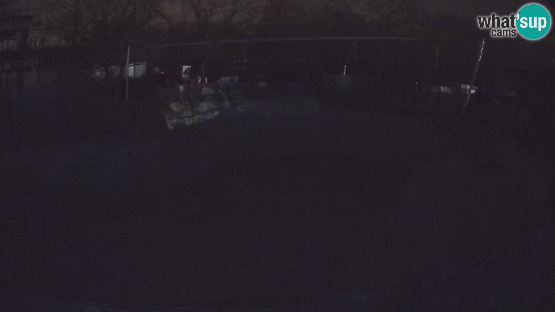 Zoo Zagreb – Otarie de Californie