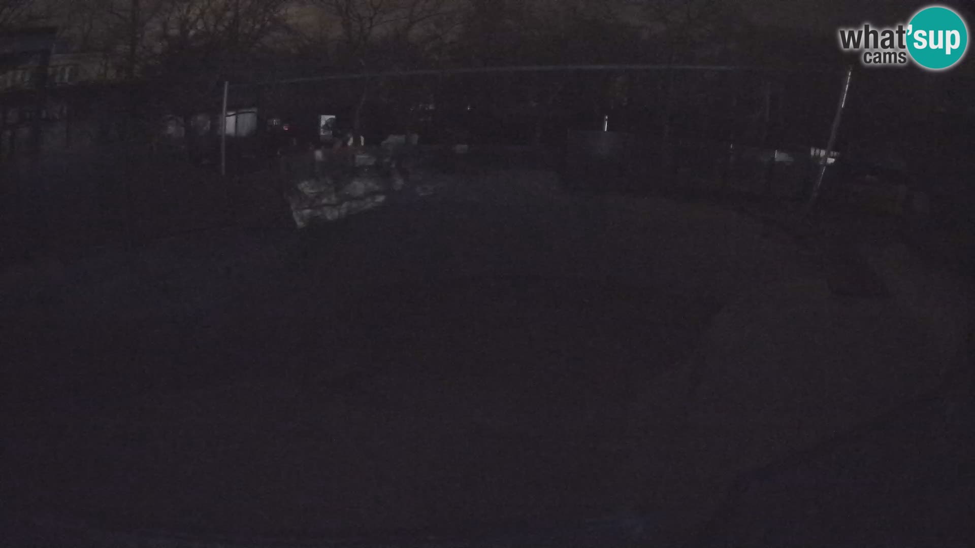 Zoo Zagreb – Otarie de Californie