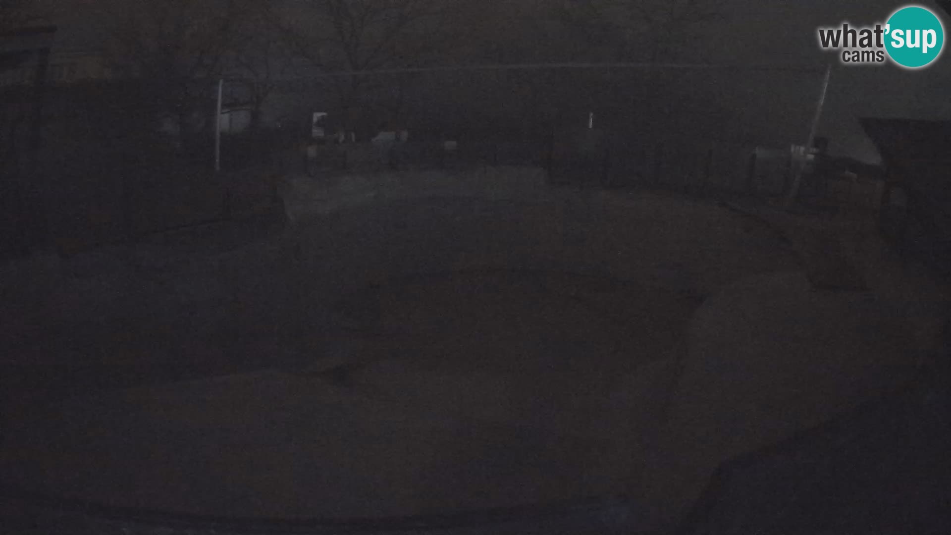 Zoo Zagreb – Kalifornijski morski lav