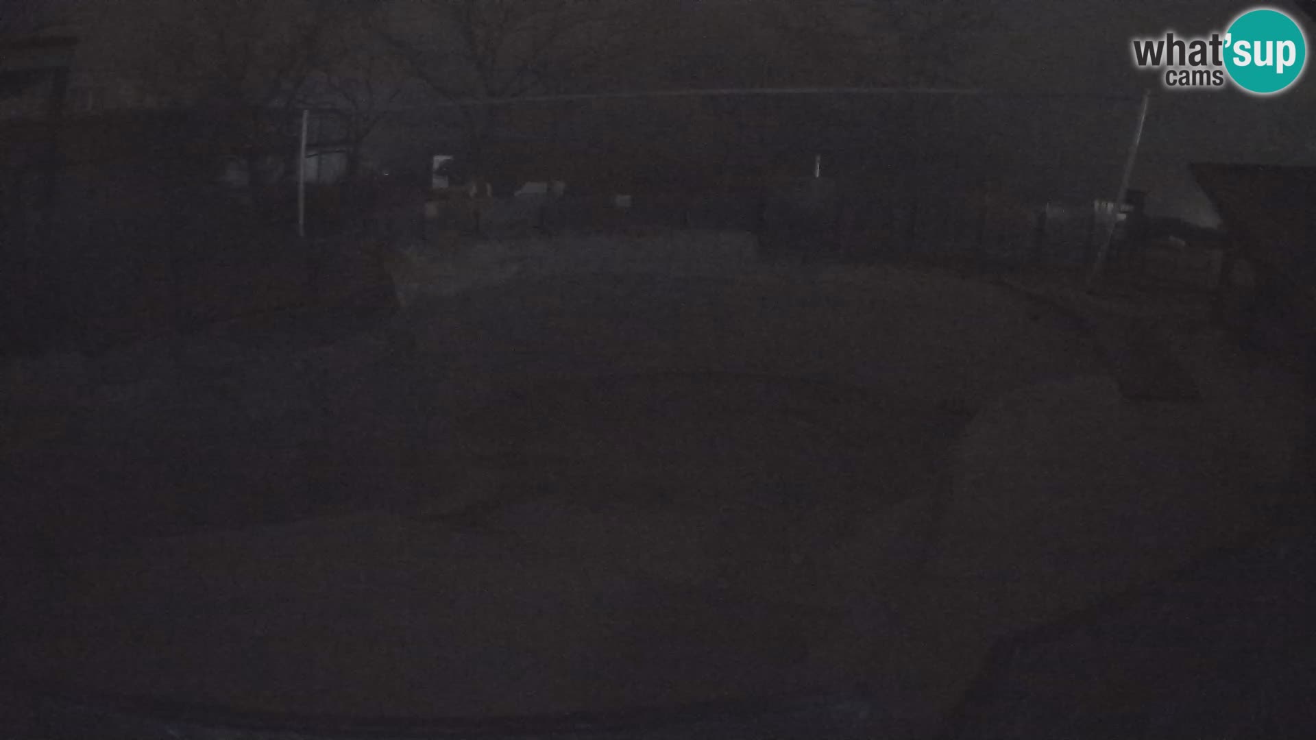 Zoo Zagreb –  León marino de California