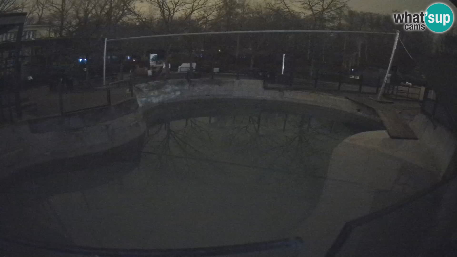 Zoo Zagreb – Otaria della California