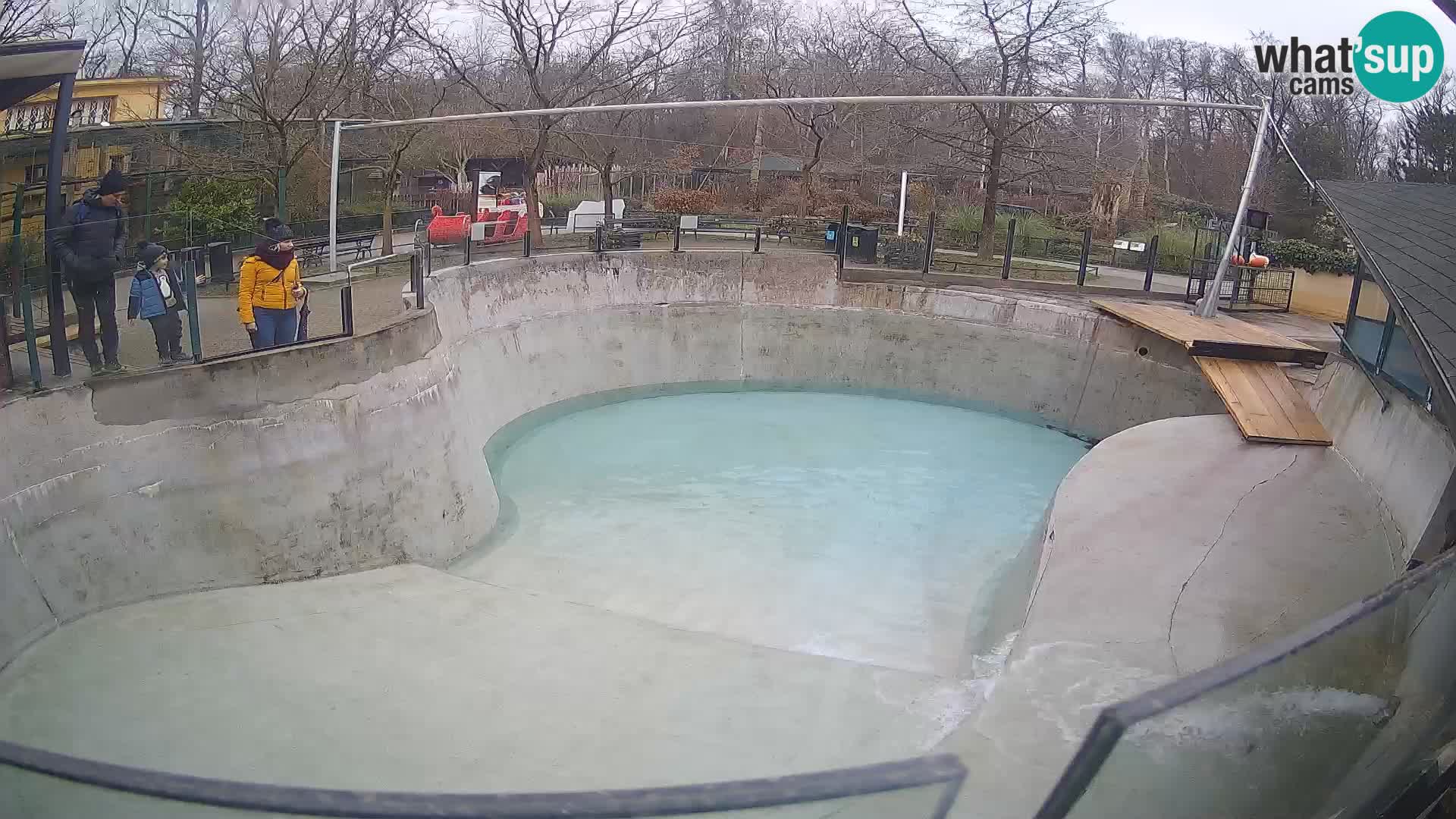 Zoo Zagreb – Kalifornijski morski lav