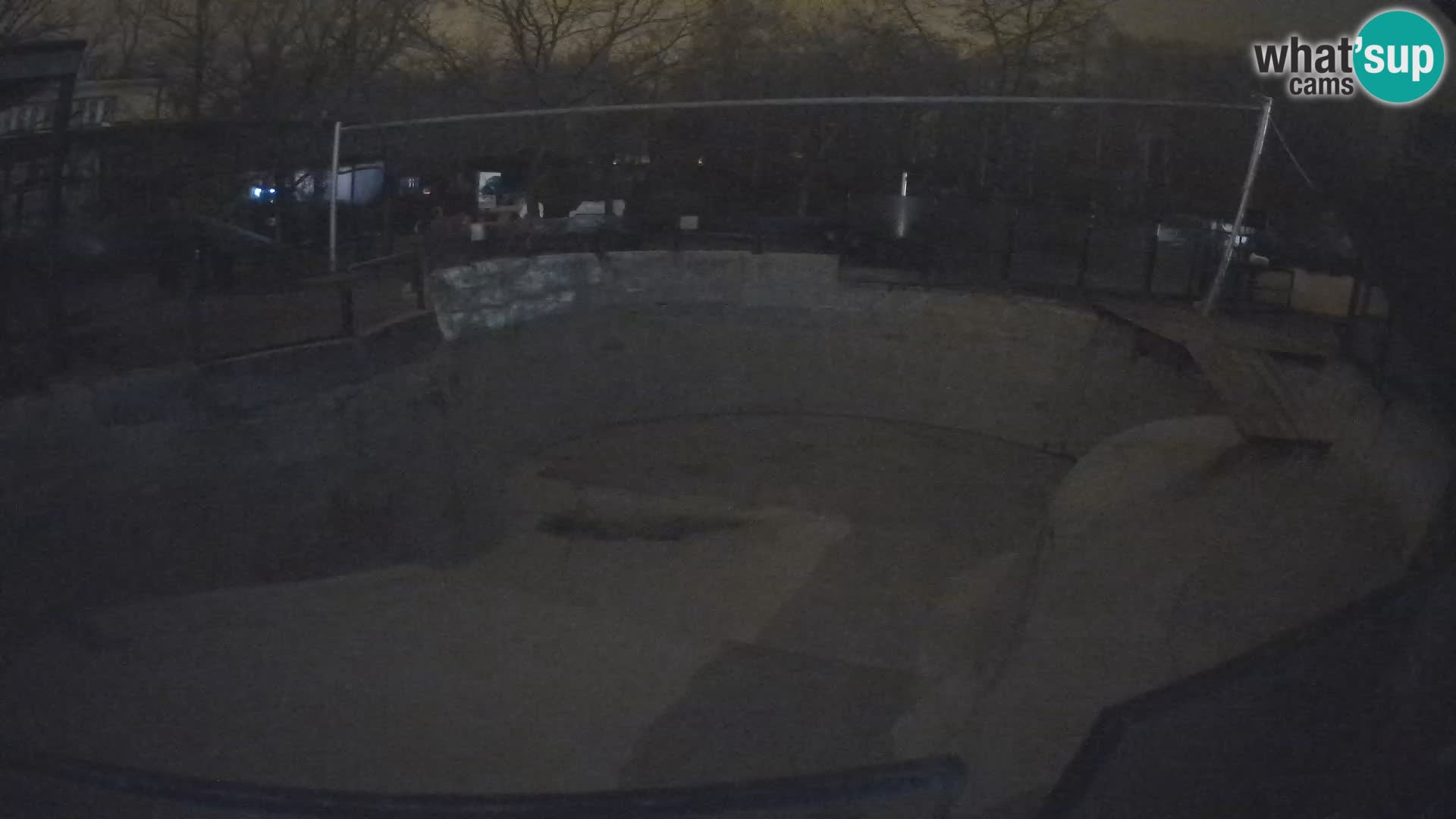 Zoo Zagreb – California Sea Lion