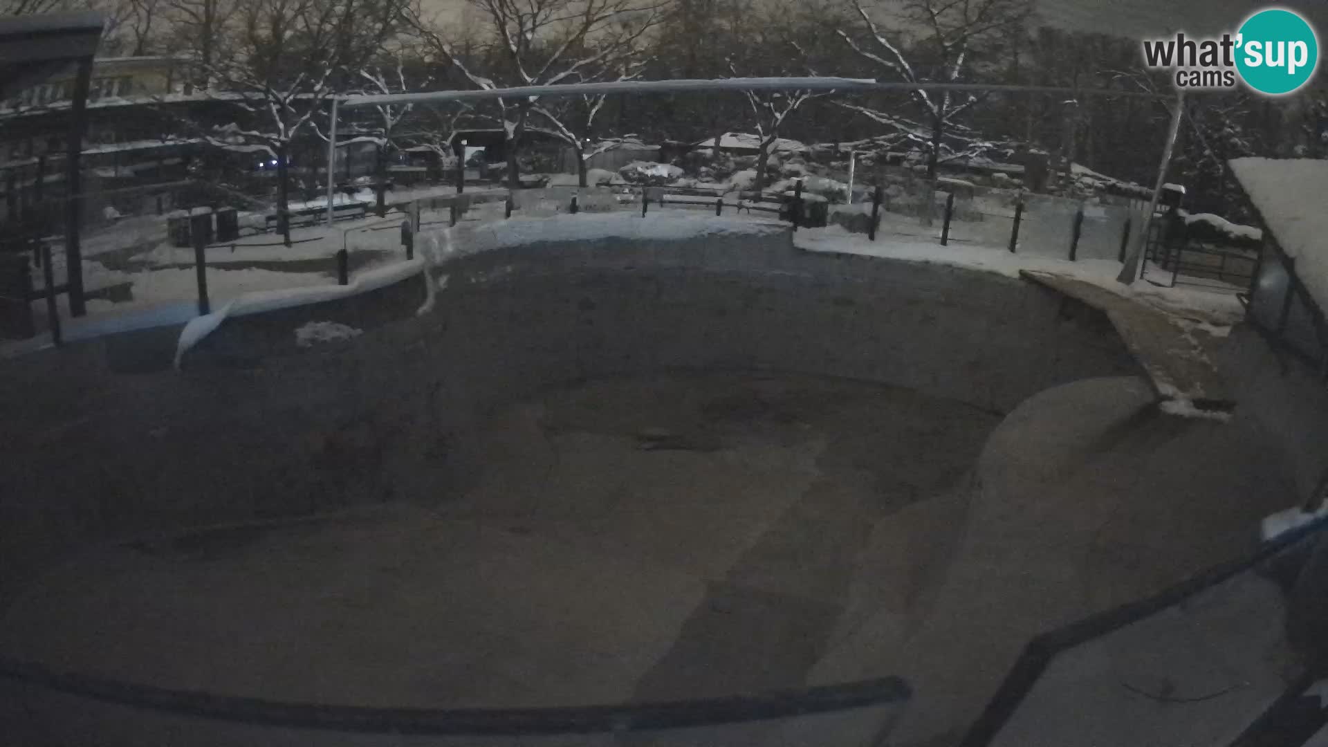 Zoo Zagreb –  León marino de California