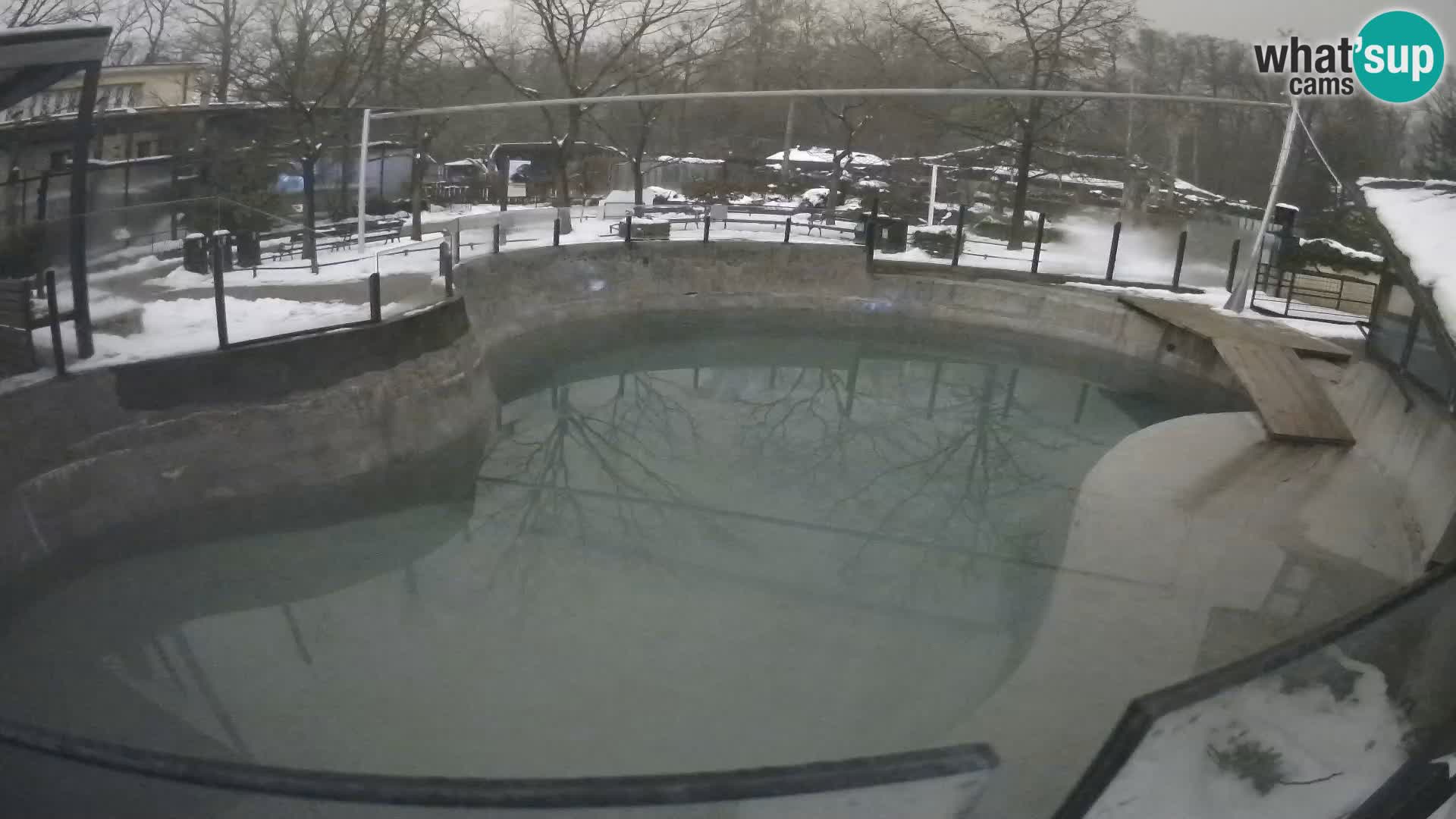 Zoo Zagreb – Kalifornijski morski lav