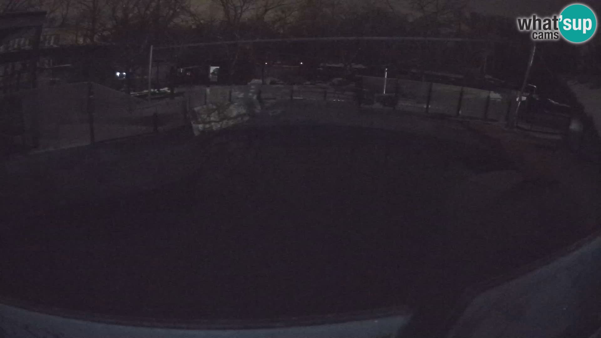 Zoo Zagreb –  León marino de California