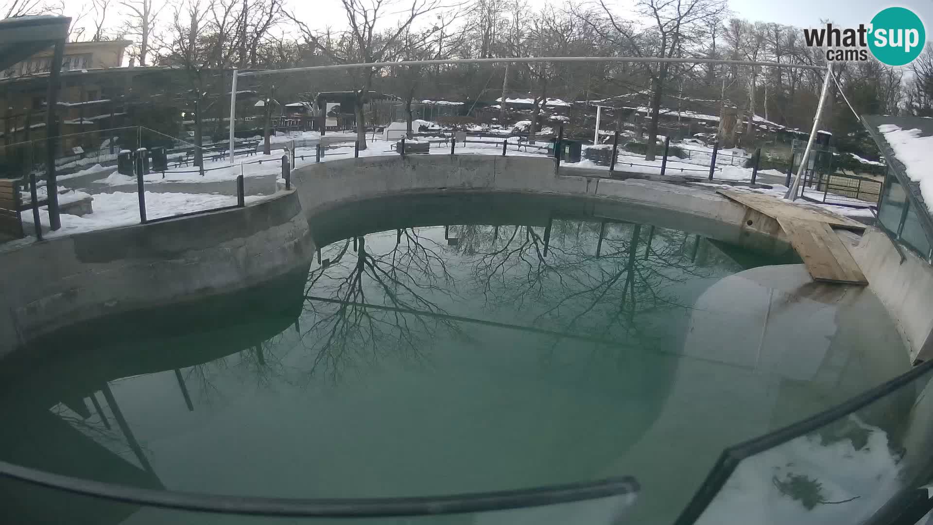 Zoo Zagreb – Kalifornijski morski lav