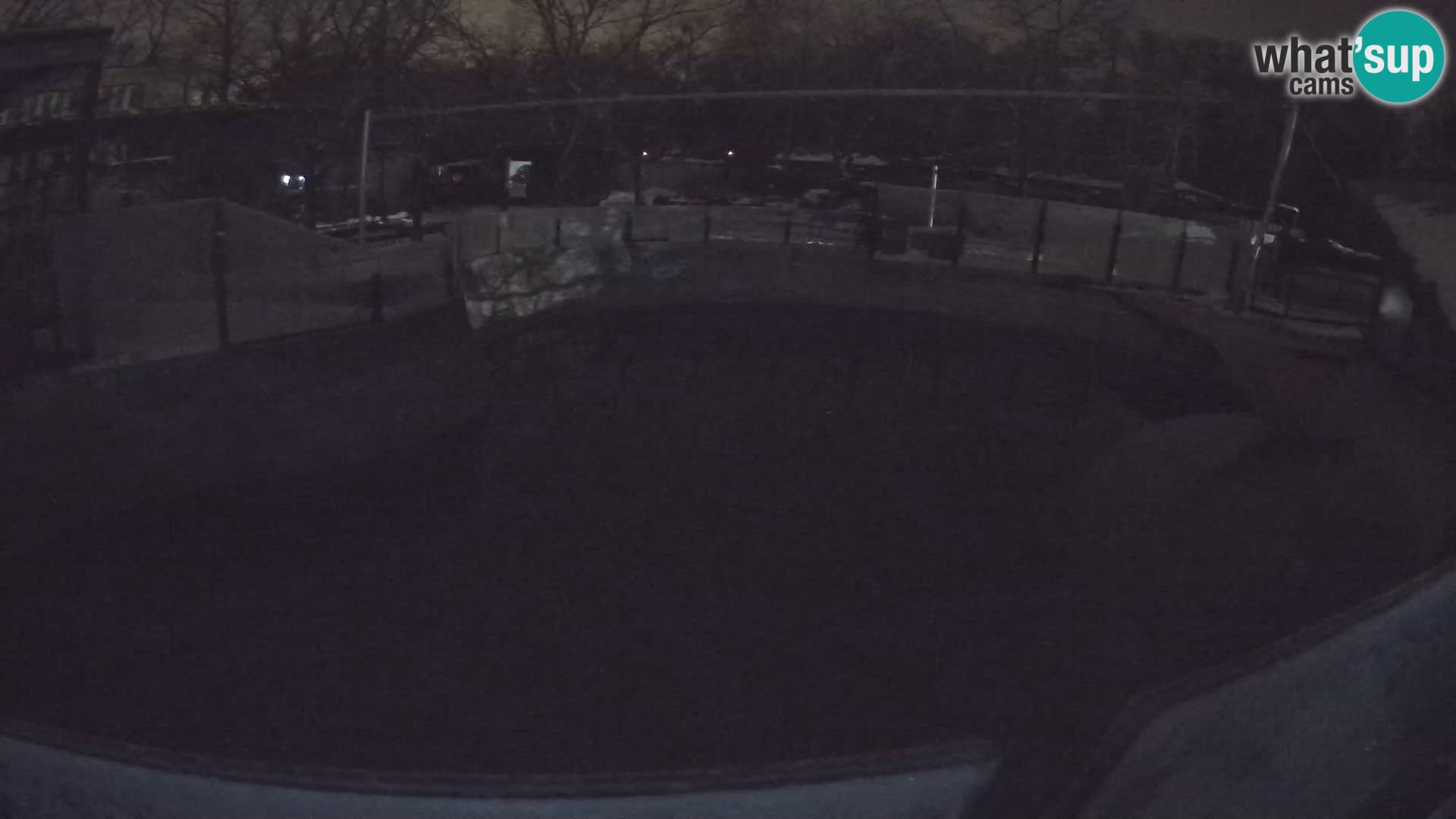 Zoo Zagreb – Kalifornijski morski lav