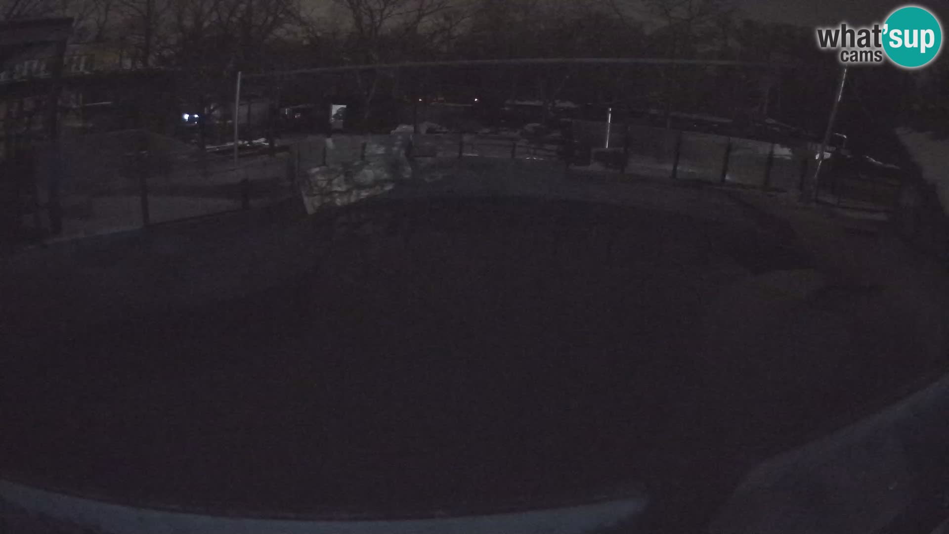 Zoo Zagreb – Otarie de Californie