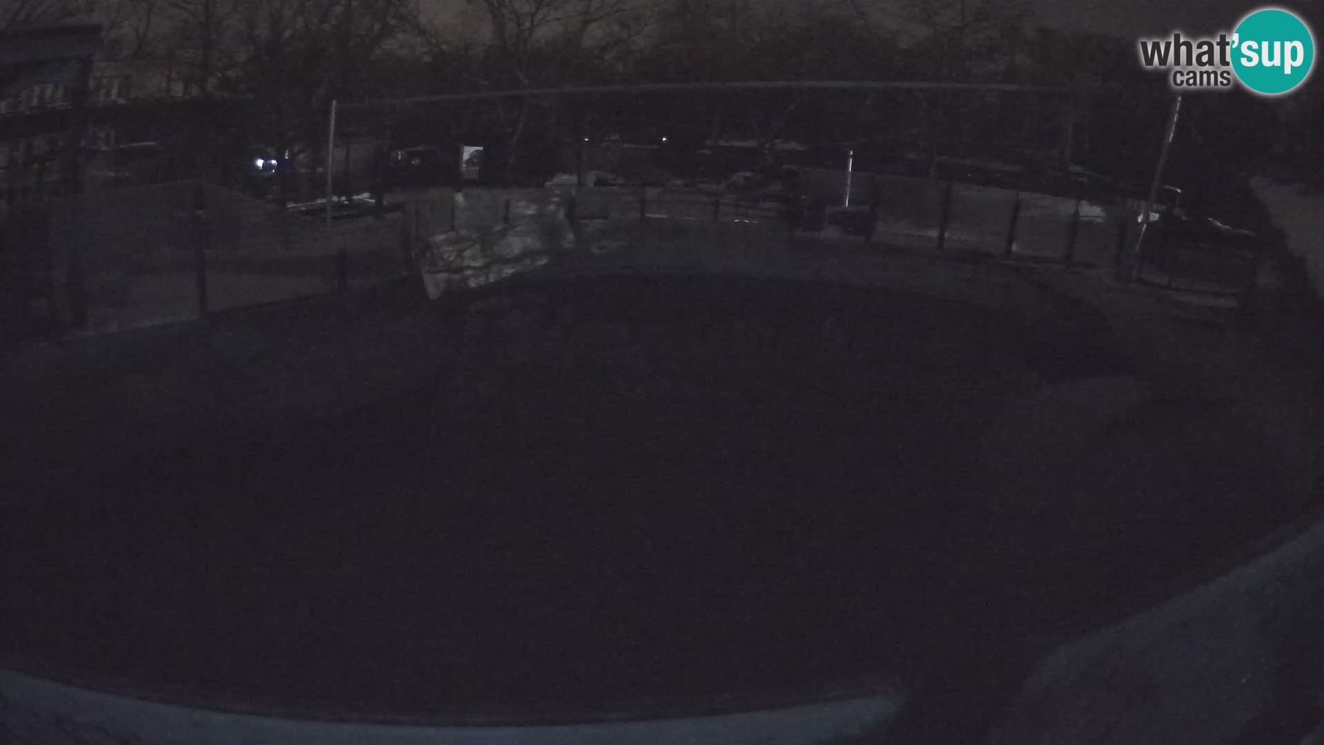 Zoo Zagreb – Kalifornijski morski lav