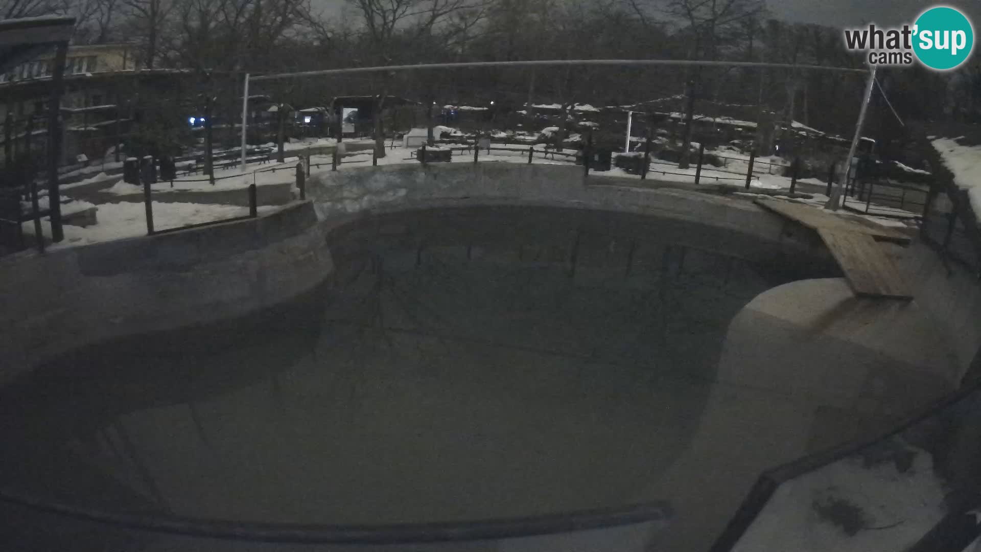 Zoo Zagreb – Kalifornijski morski lav