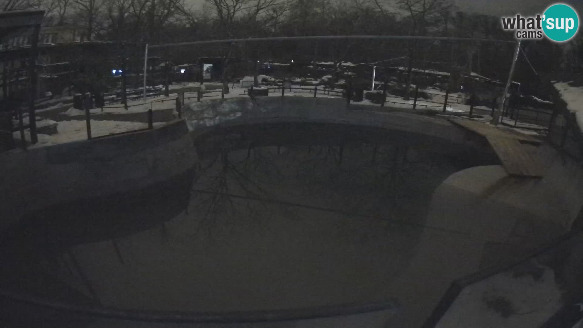 Zoo Zagreb –  León marino de California