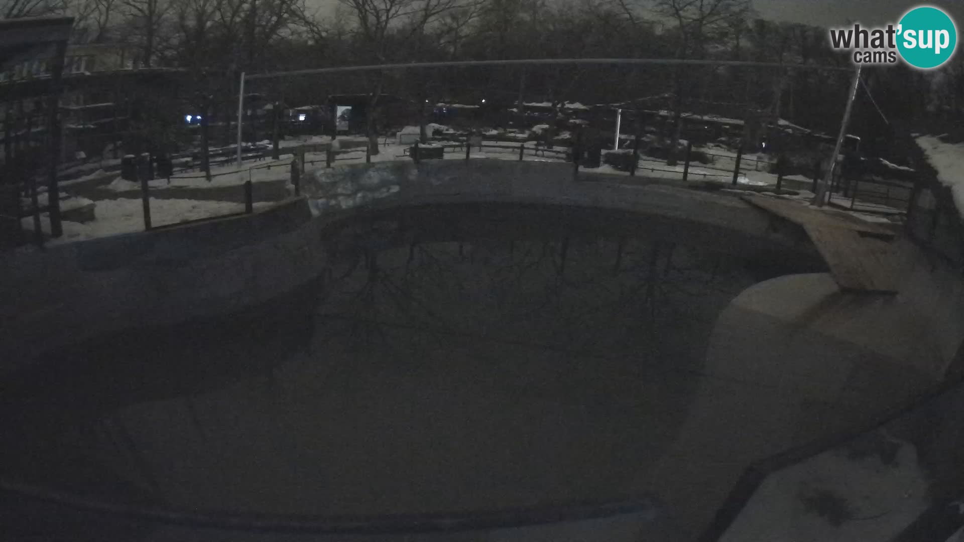 Zoo Zagreb –  León marino de California