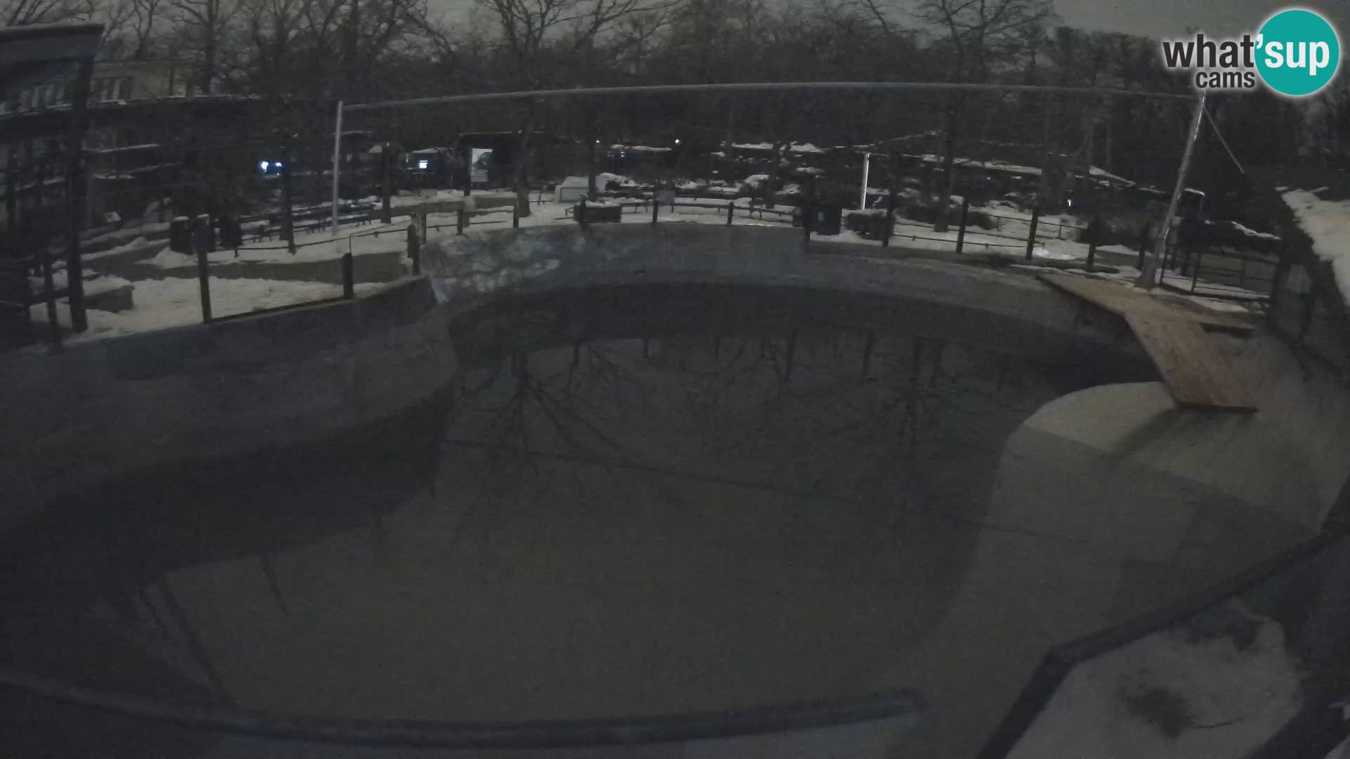 Zoo Zagreb – Otarie de Californie