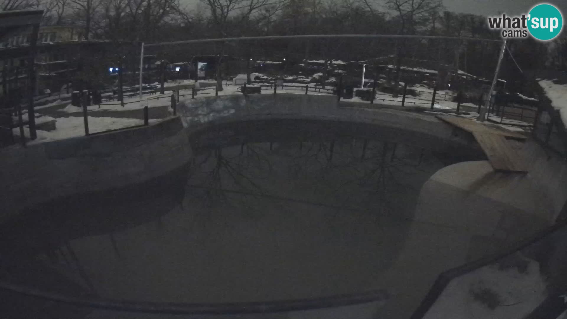 Zoo Zagreb – Otarie de Californie