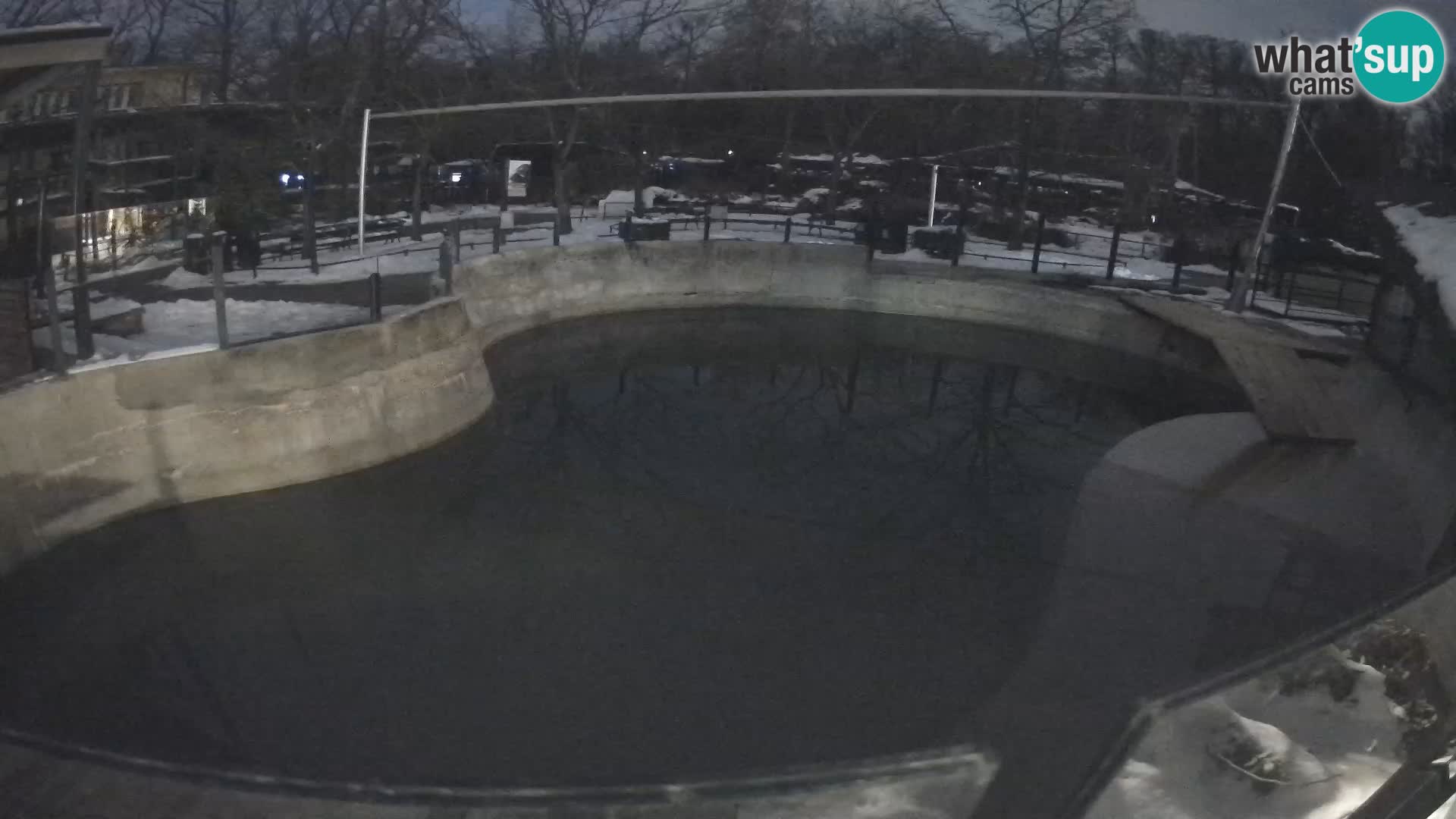 Zoo Zagreb – Kalifornijski morski lev