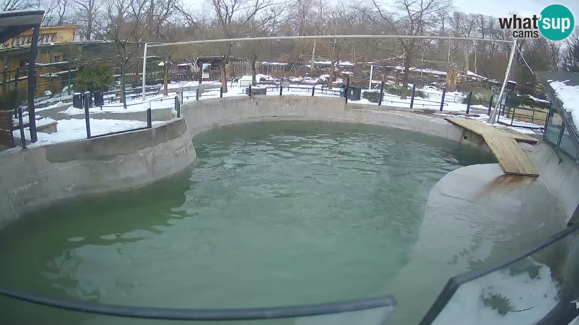 Zoo Zagreb – Otarie de Californie