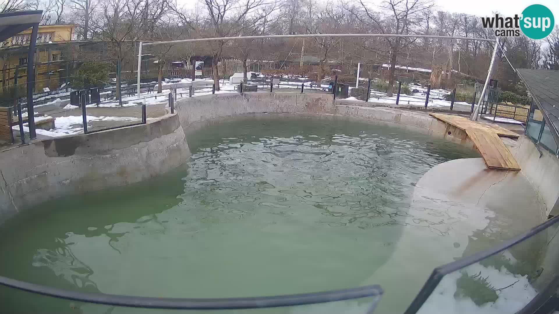 Zoo Zagreb – Kalifornijski morski lav