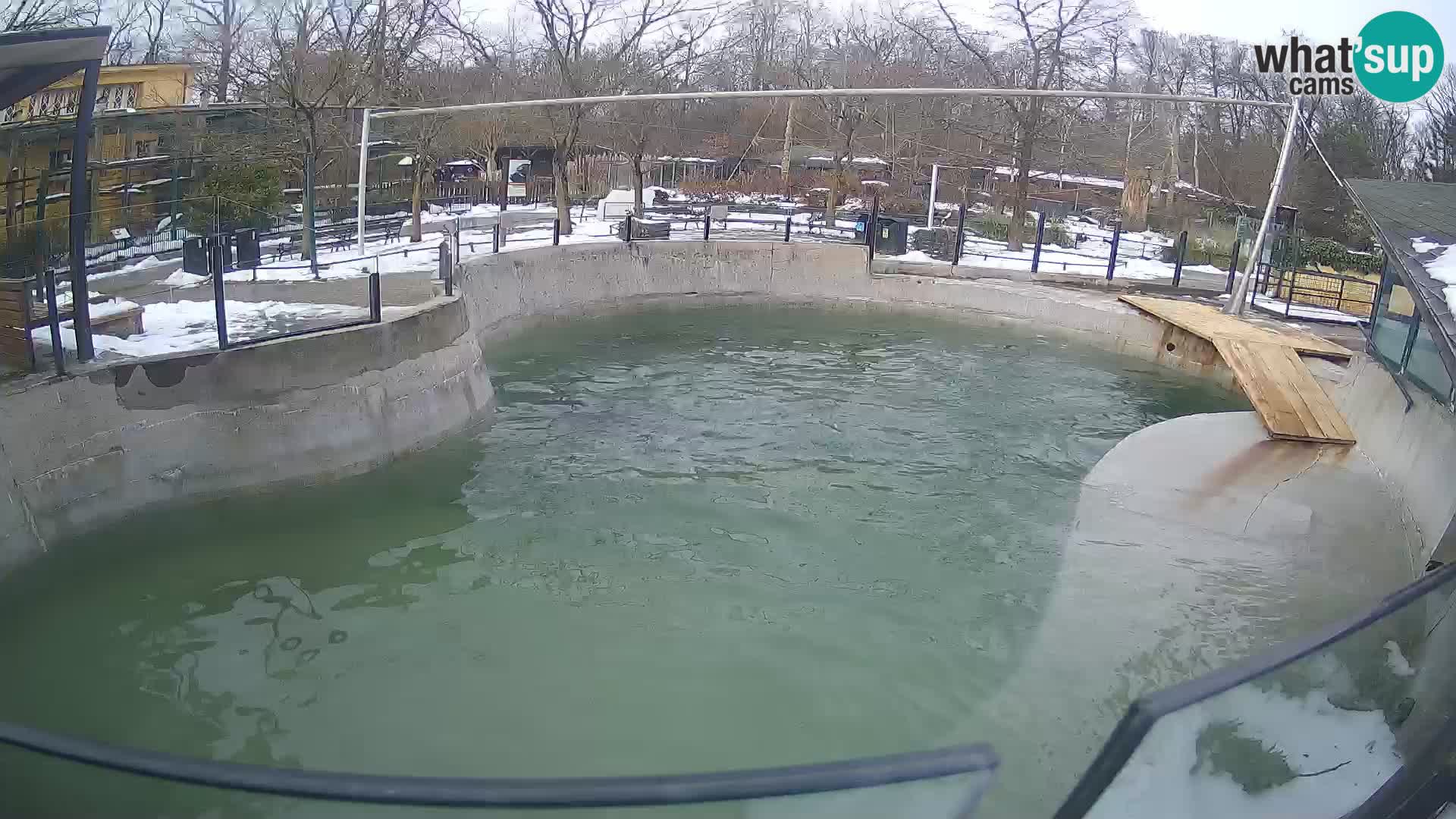 Zoo Zagreb – Kalifornijski morski lav