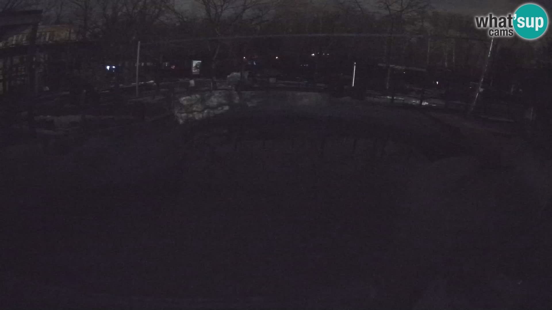 Zoo Zagreb – Kalifornijski morski lav