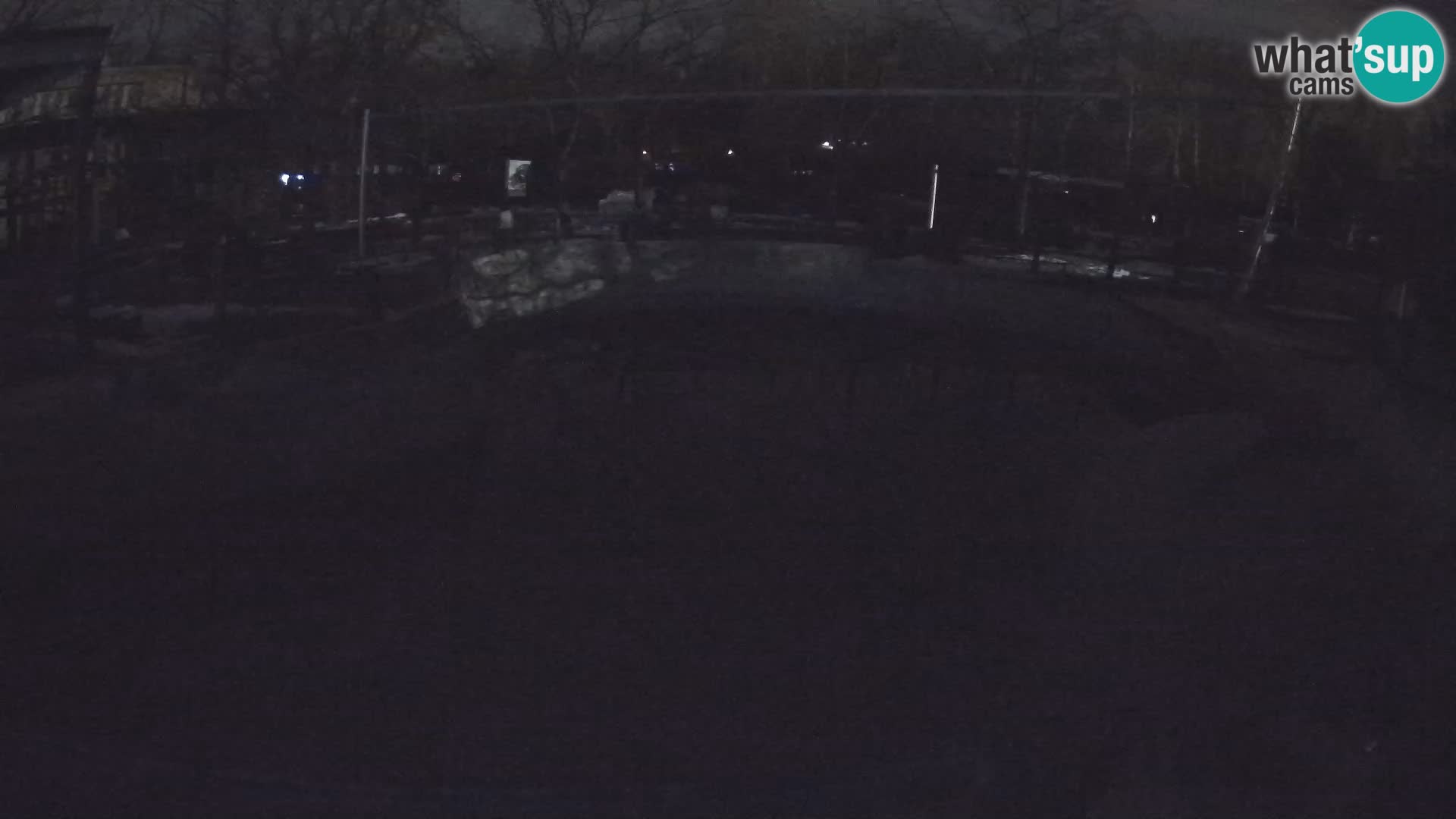 Zoo Zagreb – Kalifornijski morski lav