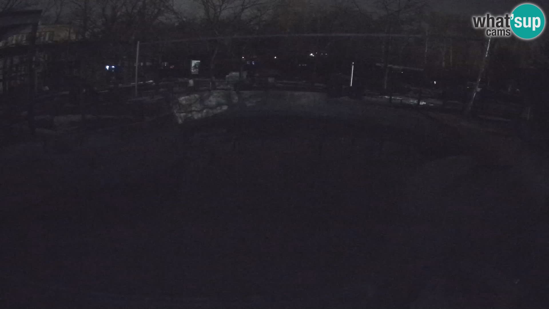 Zoo Zagreb –  León marino de California