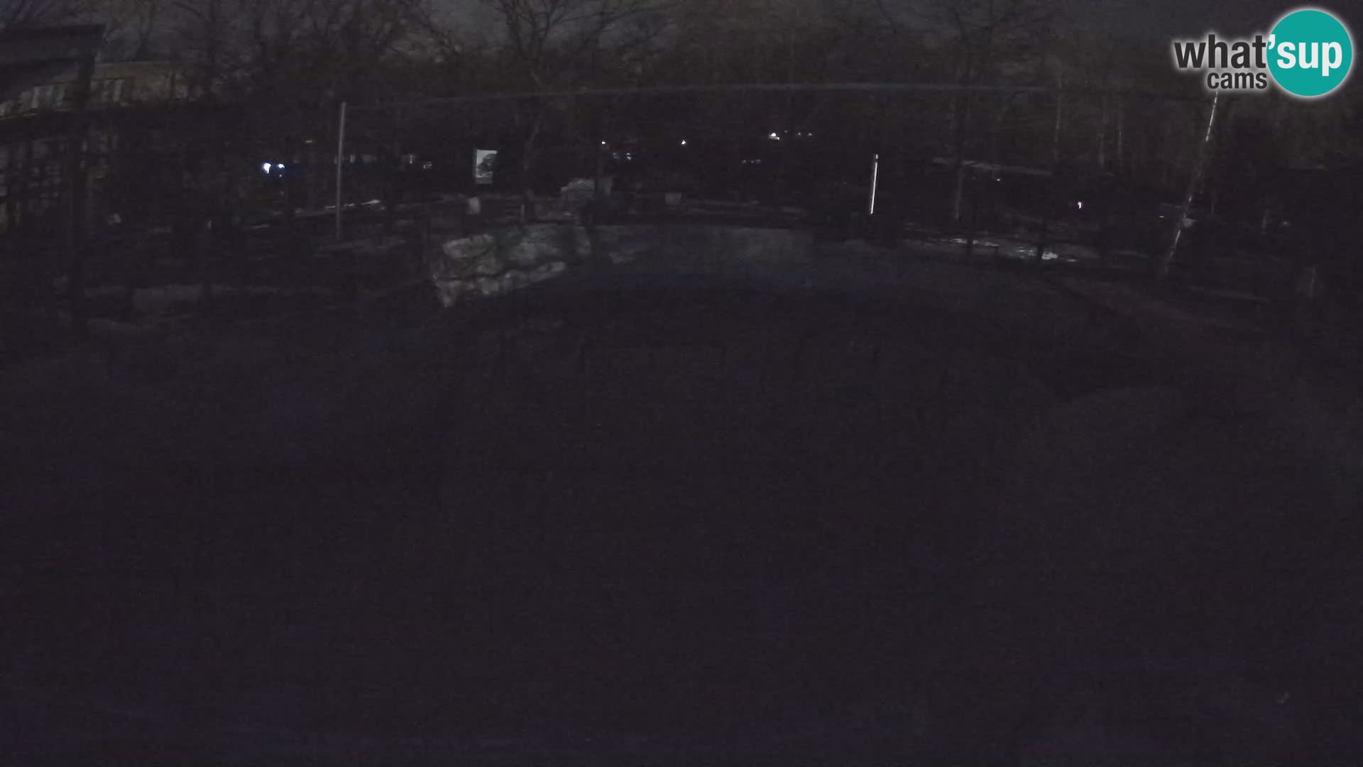 Zoo Zagreb – Otarie de Californie