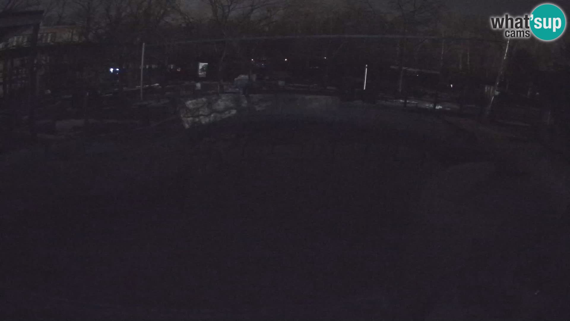 Zoo Zagreb –  León marino de California