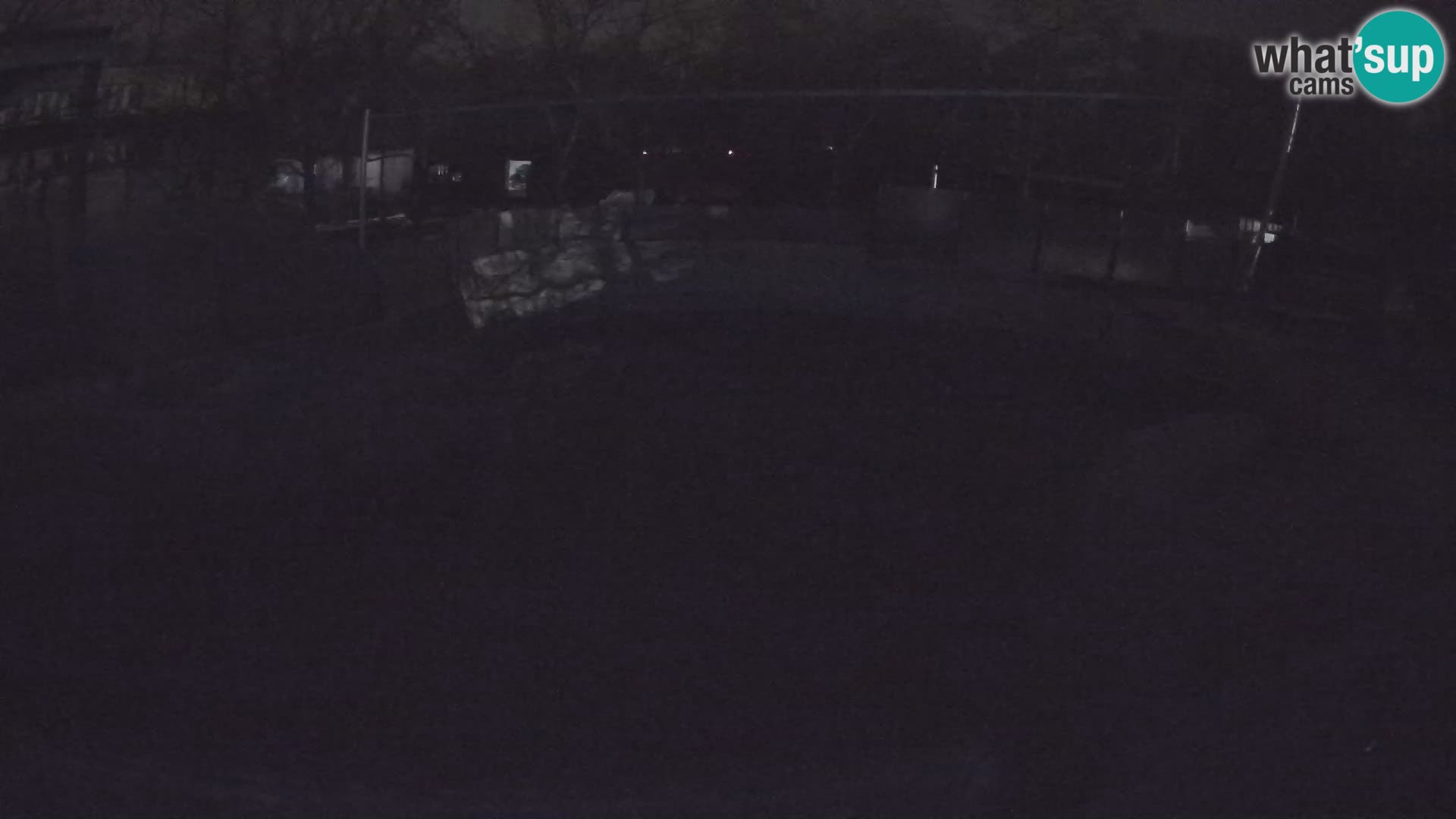 Zoo Zagreb – Otarie de Californie