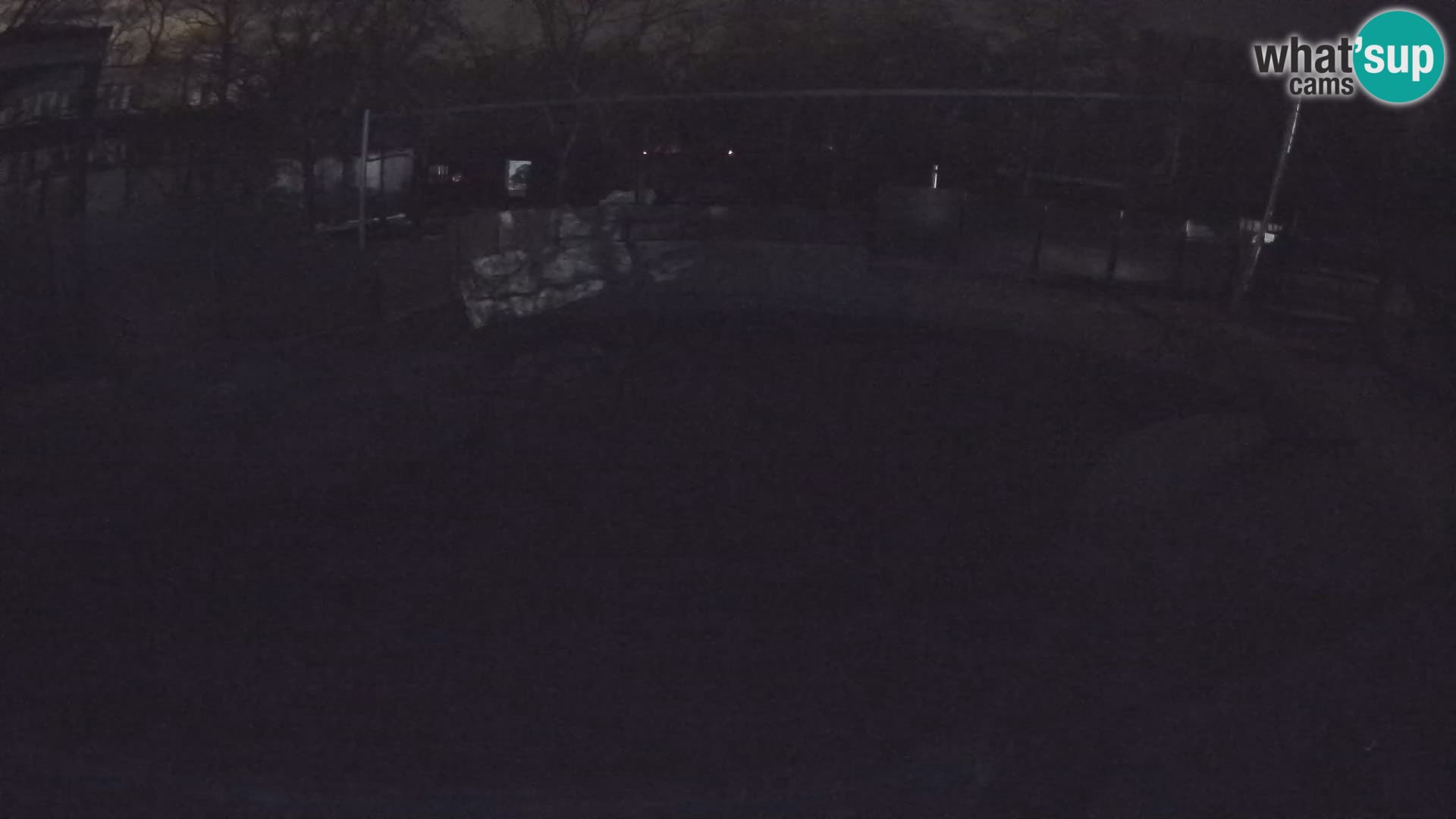 Zoo Zagreb – Kalifornijski morski lav