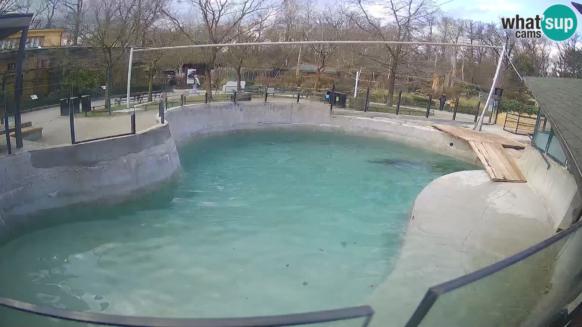 Zoo Zagreb – Kalifornijski morski lav