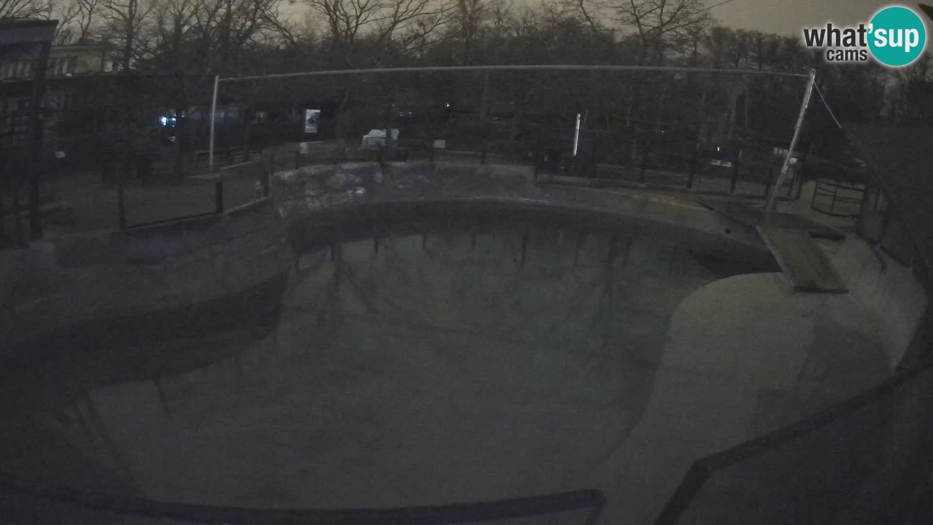 Zoo Zagreb – California Sea Lion