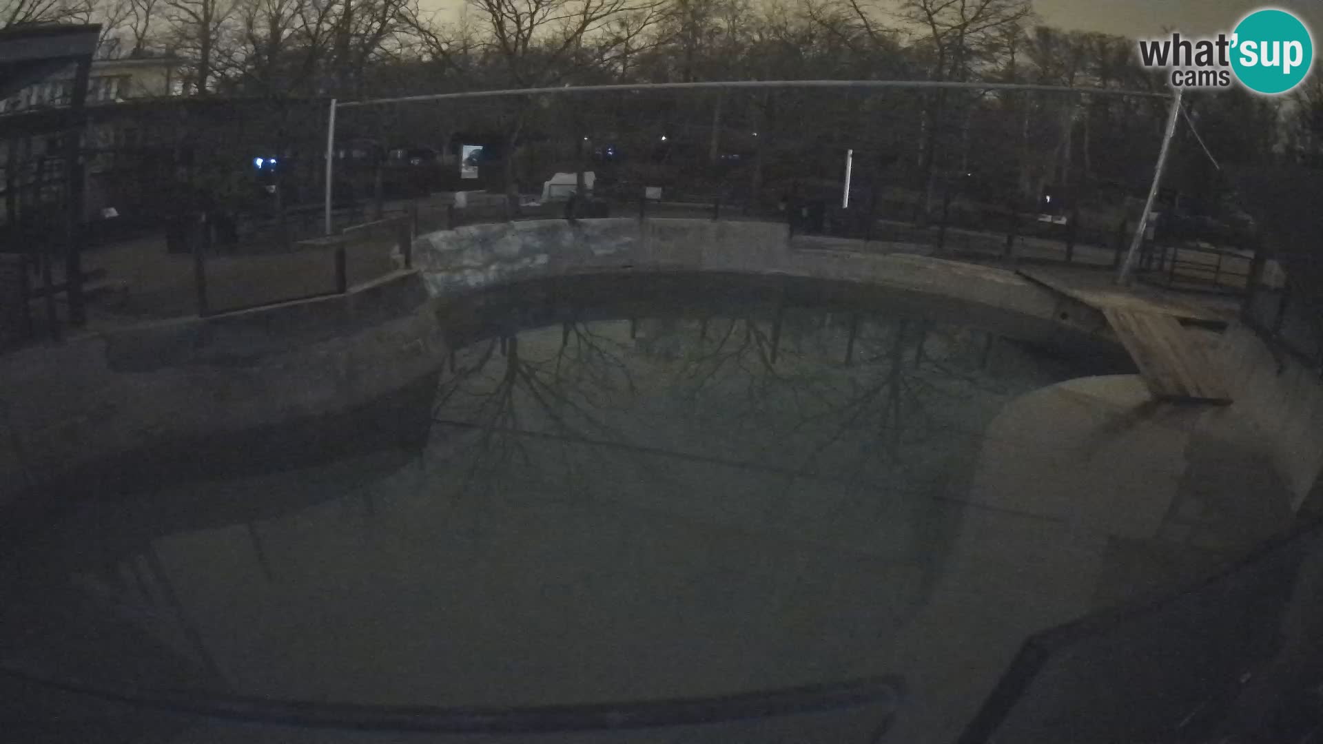 Zoo Zagreb – Kalifornijski morski lav