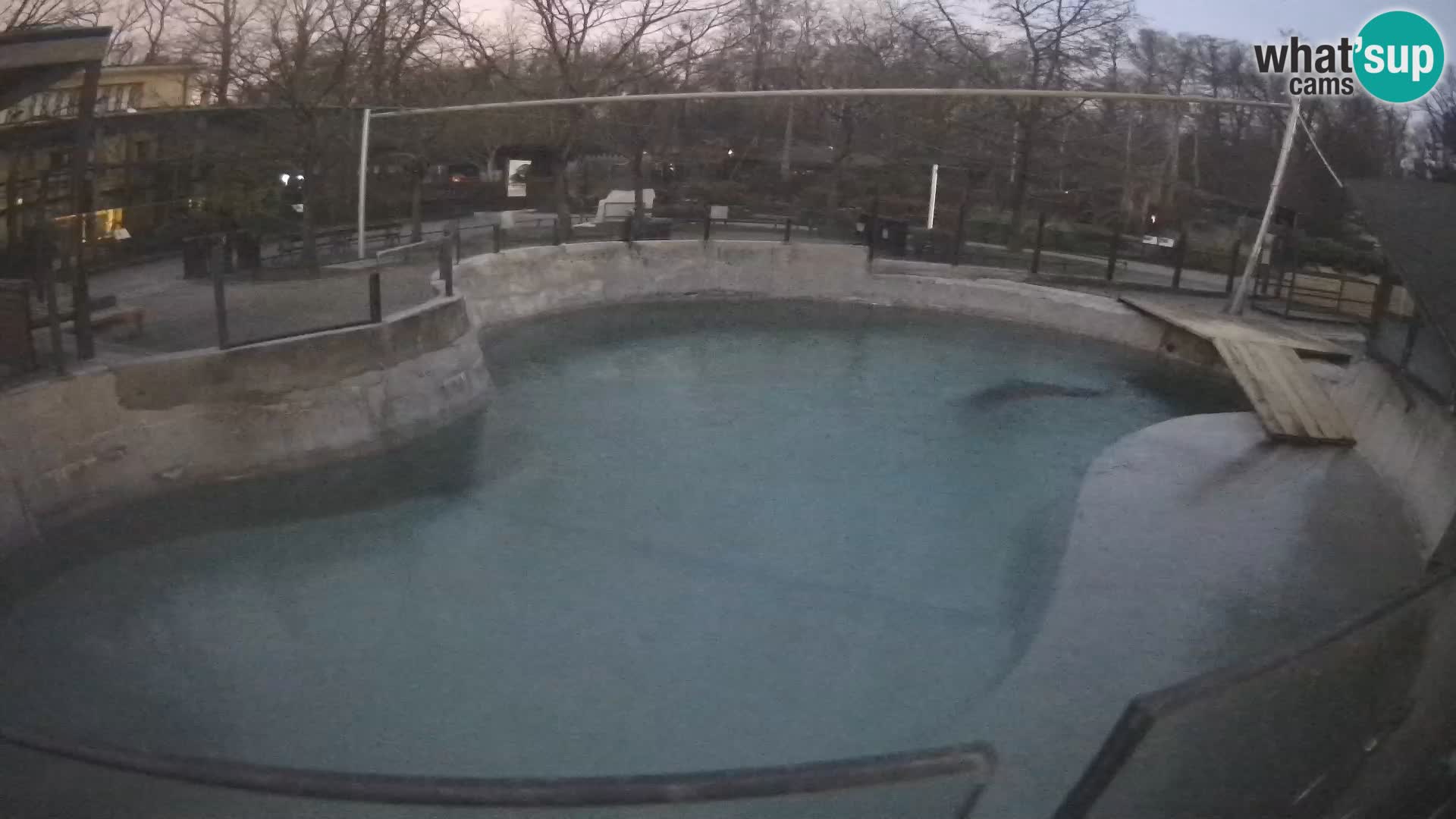 Zoo Zagreb – Kalifornijski morski lav