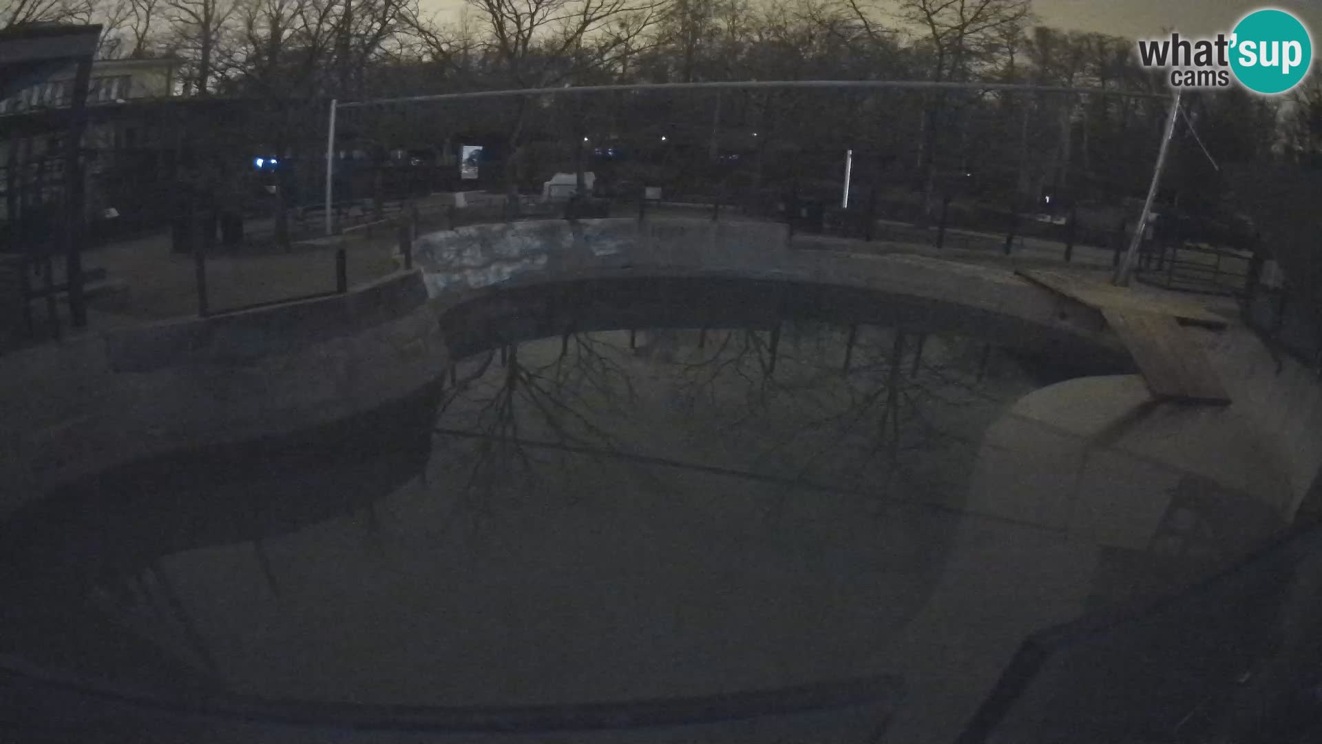 Zoo Zagreb –  León marino de California