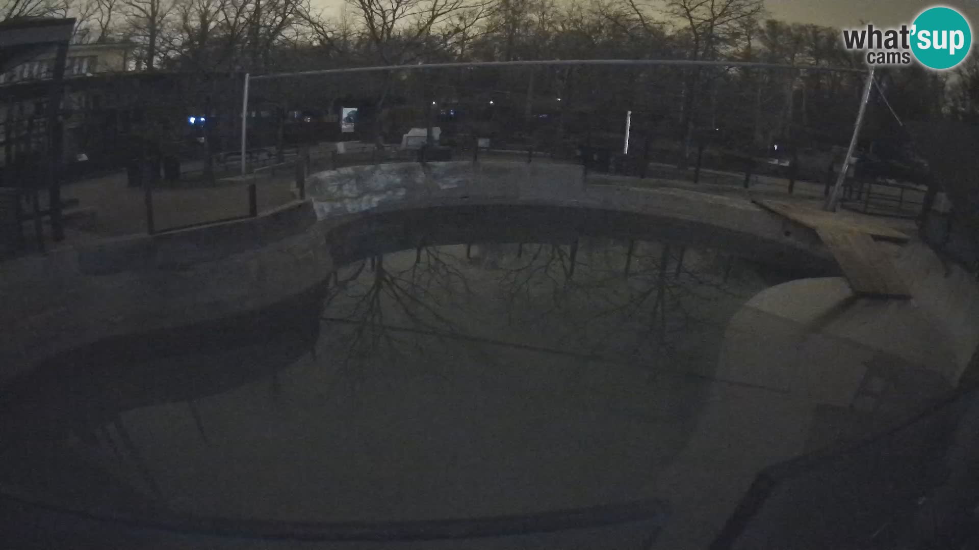 Zoo Zagreb –  León marino de California