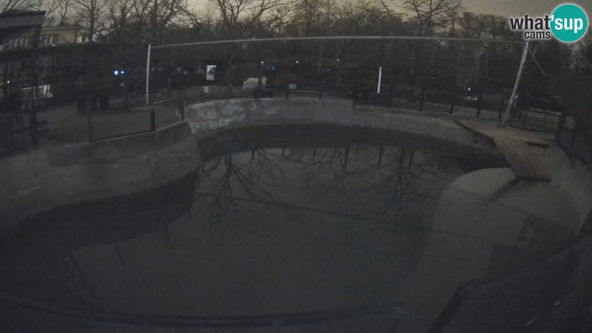 Zoo Zagreb –  León marino de California