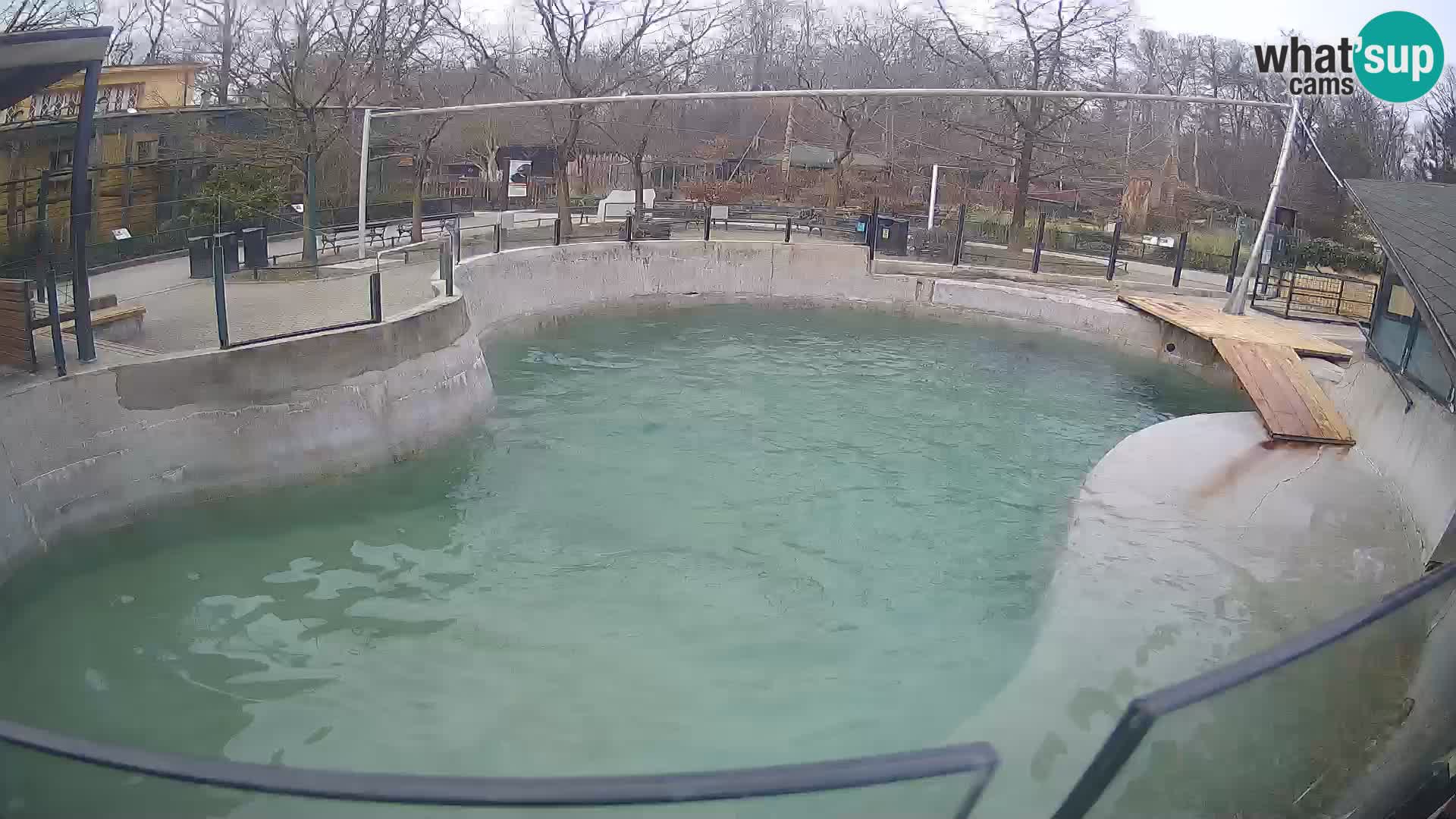 Zoo Zagreb – Otarie de Californie